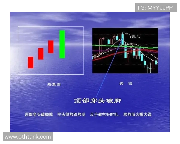 深入分析重庆排球队防反战术的独特魅力与实战应用